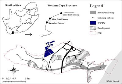 Effective Management of Closed Hypereutrophic Estuaries Requires Catchment-Scale Interventions